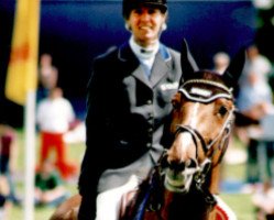 Pferd Goldstar (Irish Sport Horse, 1994, von Golden Trump)