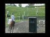 horse Armageddon 39 (Oldenburg show jumper, 2002, from Amman)