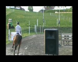 horse Armageddon 39 (Oldenburg show jumper, 2002, from Amman)