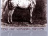 Deckhengst Tajar 1851 ox (Vollblutaraber, 1851, von Amurath I 1829 ox)