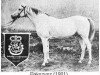 horse Bakszysz 1901 ox (Arabian thoroughbred, 1901, from Ilderim 1894 DB)