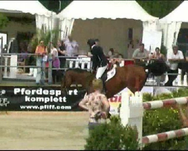 broodmare Wiesielottie (KWPN (Royal Dutch Sporthorse), 2003, from Rash R)