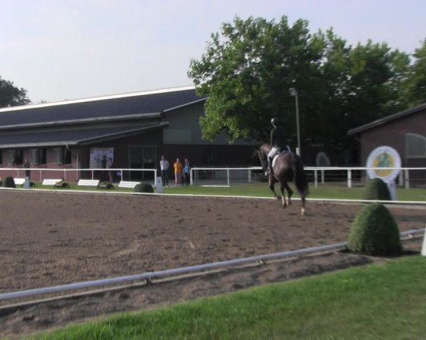 Reitturnier Münchehofe 2022