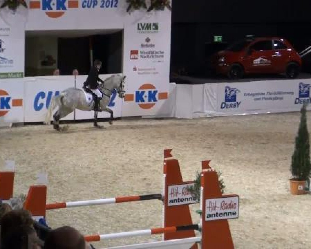 Springpferd Combole R (Oldenburger, 2001, von Contender)