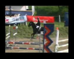 Springpferd Nero 396 (Finnisches Warmblut, 2002, von Lancetto 93)