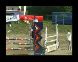 jumper Camille 10 (Danish Warmblood, 2000, from Cajus)