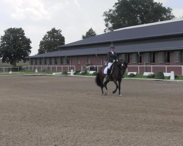 Reitturnier Münchehofe 2022