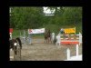 jumper Pfauenauge 2 (Swiss Warmblood, 2000, from Coriano)