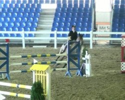 dressage horse Rasputin 510 (Hanoverian, 2000, from Rosentau)