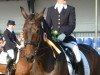 dressage horse Desiree (Oldenburg, 2003, from Don Larino 171 FIN)