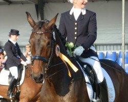 dressage horse Desiree (Oldenburger, 2003, from Don Larino 171 FIN)