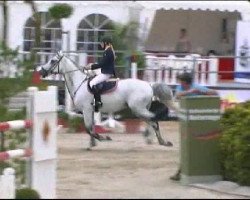 jumper General Sterling Price (Hanoverian,  )