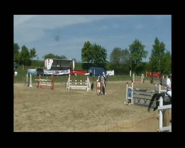 broodmare Allegra 142 (Oldenburg, 2003, from Acobat II)