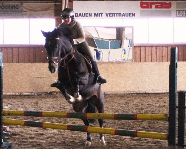 broodmare Deja Vu 57 (Oldenburg, 2002, from Diamond Hit)