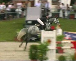 jumper Sylvester 118 (KWPN (Royal Dutch Sporthorse), 2004, from Silverstone)