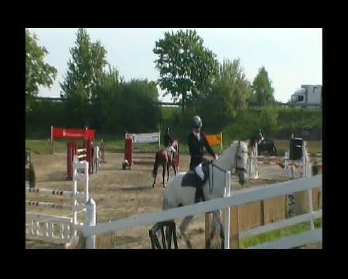 horse Quella van Eyensluis (Belgian Warmblood, 1993, from Pavarotti van de Helle)