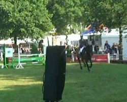 jumper For Victory 2 (Oldenburg show jumper, 2005, from Colander)