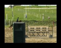 dressage horse Ruby (Hanoverian, 2000, from Rotspon)