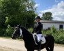 dressage horse Mary-Lou 67 (German Riding Pony, 2012, from Wengelo's Nelson)