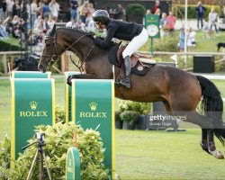 Springpferd Noblesse du Palis (Belgisches Warmblut, 2013, von Baltic VDL)