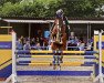 jumper El Amigo 7 (German Sport Horse, 2013, from Eldorado vd Zeshoek Tn)