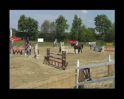 jumper Liffey (Hanoverian, 2000, from Landclassic)