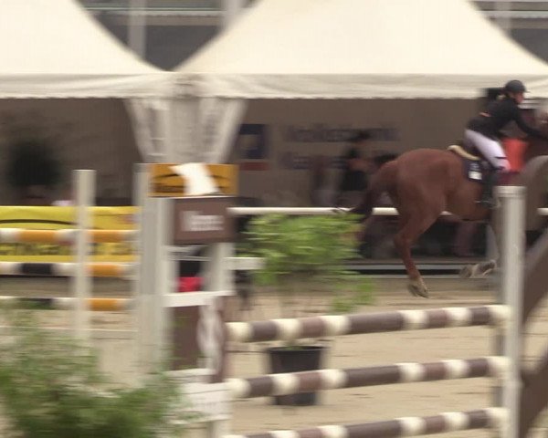 Reitturnier Werne 2022