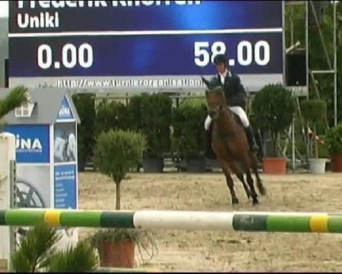 stallion Uniki (KWPN (Royal Dutch Sporthorse), 2001, from Kigali)