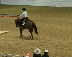 Pferd Red's Gonna B Smart (Quarter Horse, 2006, von Reds Gonna Rein)