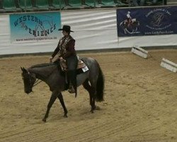 Pferd Suddenlyitsallgood (Quarter Horse, 2006, von Zippos Mr Good Bar)