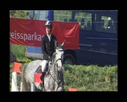 jumper Bibi vd Meerhof (KWPN (Royal Dutch Sporthorse), 2006, from Salvatore)