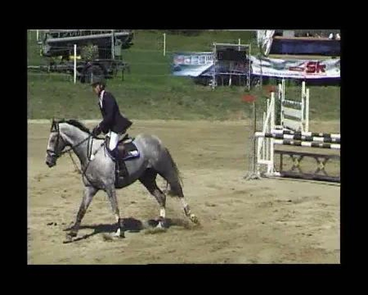 jumper Anuuk (Zweibrücken, 2000, from Algra)