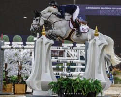 stallion Valmy de la Lande (Selle Français, 2009, from Mylord Carthago)