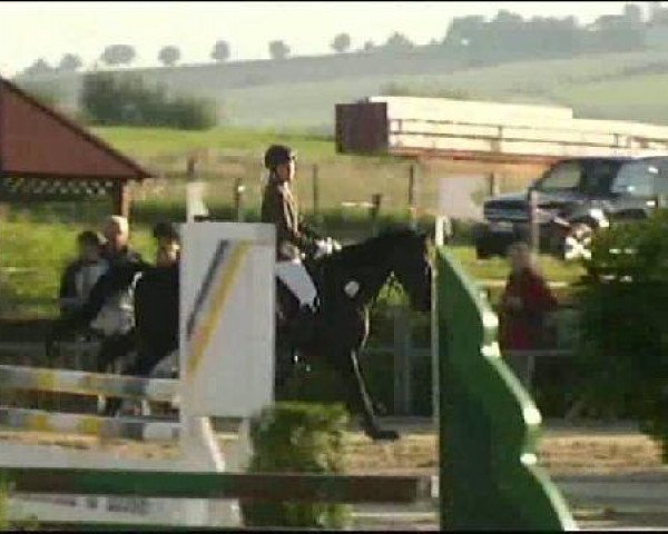 jumper Fabienne 405 (Hanoverian, 1999, from Fabriano)