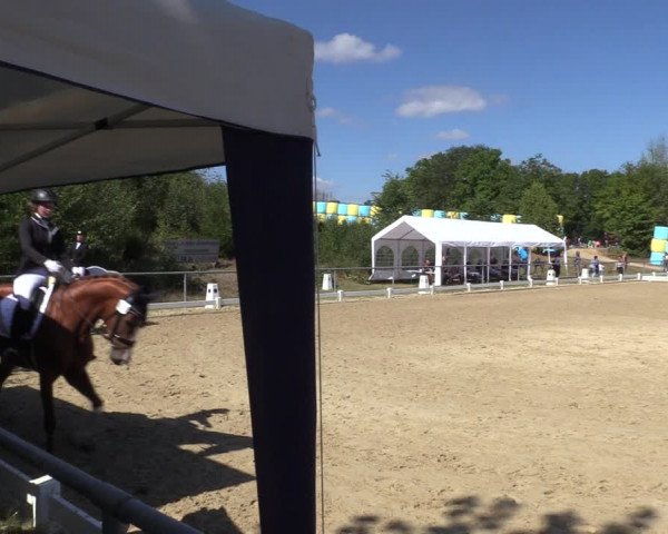 Reitturnier Bühren-Breckerfeld 2022
