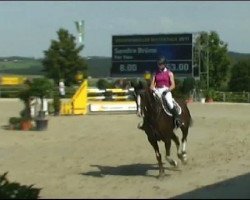 jumper For You 38 (Oldenburg show jumper, 2005, from For Keeps)