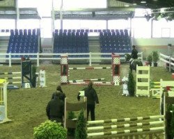 dressage horse Inkaya Magic Dream (Oldenburg, 2006, from Don Christobal)