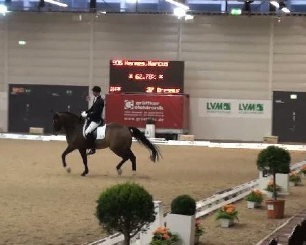 dressage horse Gregory Go (Westphalian, 1999, from Gralshüter)