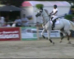 jumper Casper 164 (Holsteiner, 2000, from Calido I)