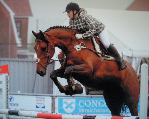 jumper Quickstep (Holsteiner, 2006, from Quo Vados I)
