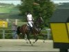 jumper S Umonia I (KWPN (Royal Dutch Sporthorse), 1999, from Heartbreaker)