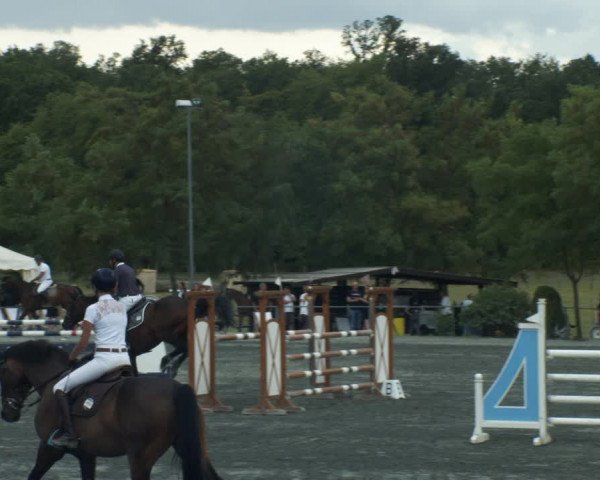 Reitturnier Horitschon 2022