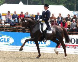 stallion Goethe (Hanoverian, 1992, from Grosso Z)