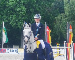 jumper Grey Silk (Hanoverian, 2012, from Grey Top)