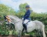 dressage horse Windsbraut Samira (German Riding Pony, 2013, from Reitland's Du oder Keiner)