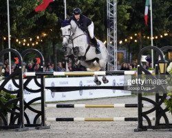 jumper Malibu de Muze (Belgian Warmblood, 2012, from Nabab de Rêve)