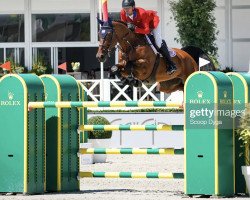 jumper Kashmir Van D'Oude Pastory (Belgian Warmblood, 2010, from Thunder van de Zuuthoeve)