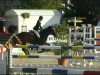 jumper Ardenta (KWPN (Royal Dutch Sporthorse), 2005, from VDL Cardento 933)