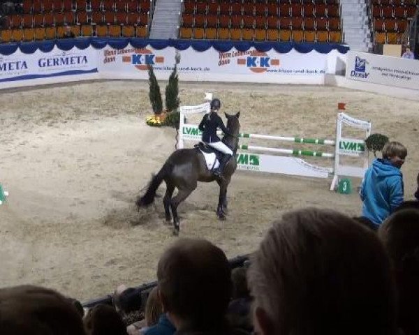 dressage horse Don Jovi 7 (Hanoverian, 2000, from Don Primero)