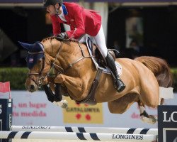 Springpferd Maya - S (Belgisches Warmblut, 2012, von Chacco-Blue)